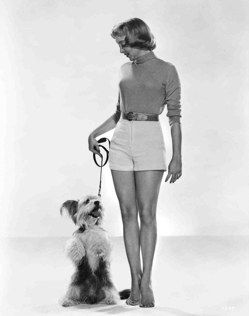 Carolyn Jones - with dog on leash Photo Print (8 x 10) - Item # DAP14711