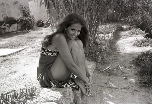 Claudia Cardinale - Bamboo Photo Print (10 x 8) - Item # DAP15341 Claudia Cardinale - Bamboo Photo Print (10 x 8) - Item # DAP15341