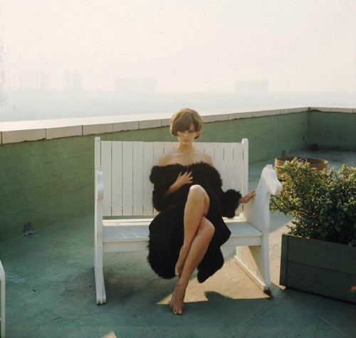 Claudia Cardinale - Black Fur Photo Print (8 x 10) - Item # DAP15486