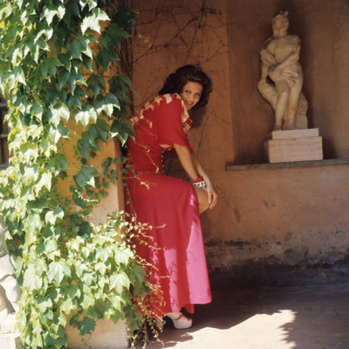 Claudia Cardinale - Statue Photo Print (8 x 10) - Item # DAP15528