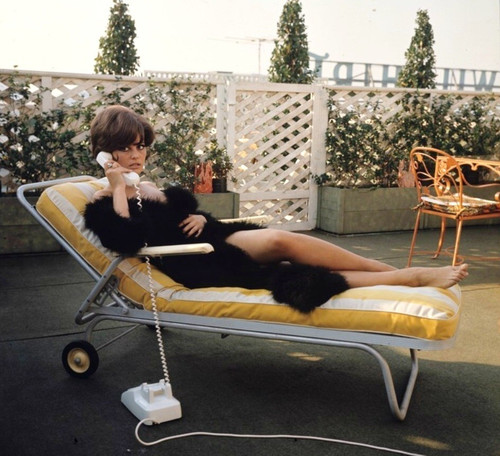 Claudia Cardinale - White Telephone Photo Print (8 x 10) - Item # DAP15485