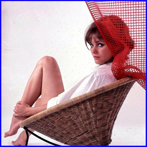 Claudia Cardinale - Wicker Chair Color Photo Print (8 x 10) - Item # DAP15557