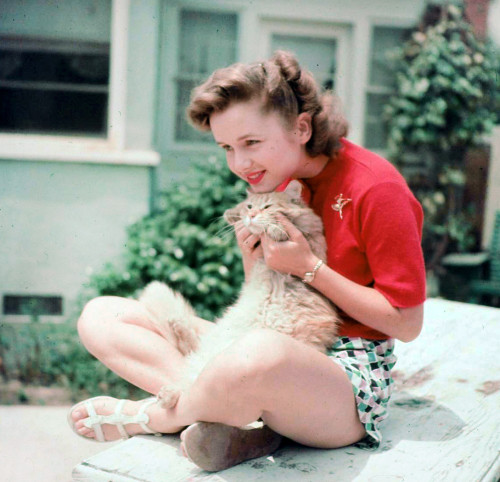 Debbie Reynolds- Holding Cat Photo Print (10 x 8) - Item # DAP16489