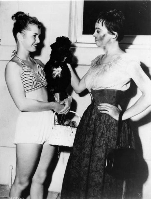 Debbie Reynolds- Holding dog With Leslie Caron Photo Print (8 x 10) - Item # DAP16442