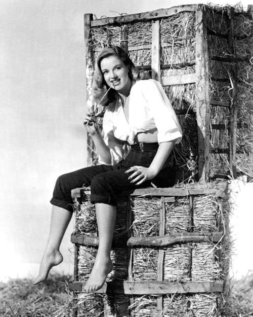 Diana Dors - Haystacks Photo Print (8 x 10) - Item # DAP16802