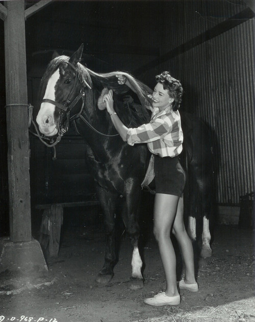 Dorothy Malone - With Horse Photo Print (8 x 10) - Item # DAP17309
