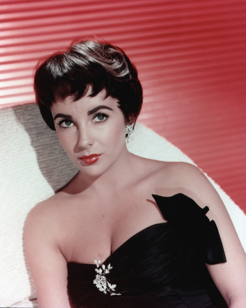 Elizabeth Taylor - Black Top with Red Background Photo Print (8 x 10) - Item # DAP17686 Elizabeth Taylor - Black Top with Red Background Photo Print (8 x 10) - Item # DAP17686