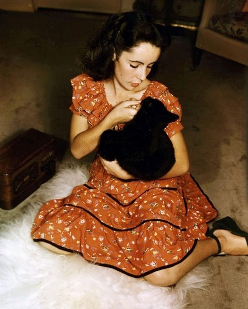 Elizabeth Taylor - Holding Cat Photo Print (8 x 10) - Item # DAP17704