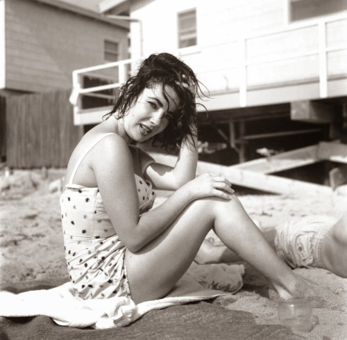 Elizabeth Taylor - Sitting With One Hand on Knee and One in Hair Photo Print (10 x 8) - Item # DAP17784