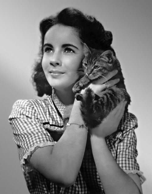 Elizabeth Taylor - Young/ Holding Cat to Face Photo Print (8 x 10) - Item # DAP17768