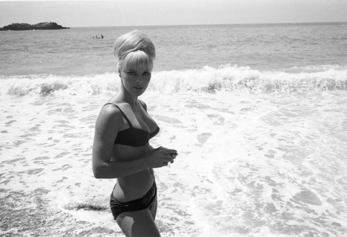 Elke Sommer - Black Bikini in Ocean Photo Print (10 x 8) - Item # DAP18024