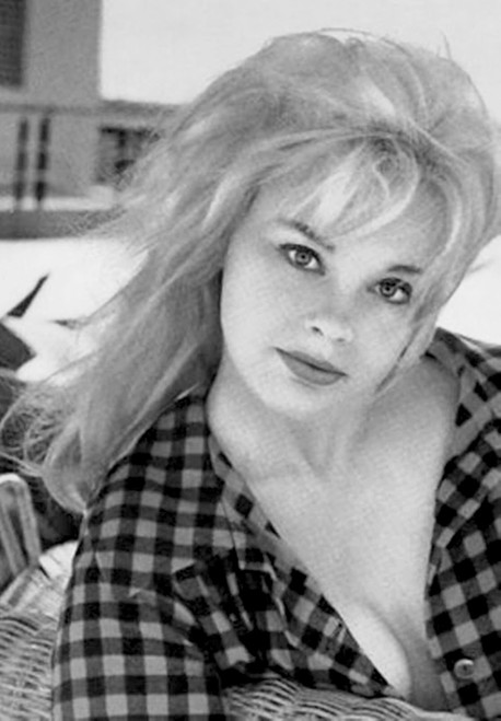 Elke Sommer - Checkered Unbuttoned Top Photo Print (8 x 10) - Item # DAP17852