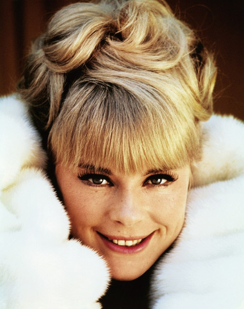 Elke Sommer - Closeup in Fur Photo Print (8 x 10) - Item # DAP17918