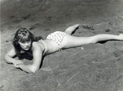 Elke Sommer - Laying Face Down Wearing Polka Dot Bikini Photo Print (10 x 8) - Item # DAP18144