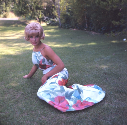 Elke Sommer - Laying in Floral Dress Photo Print (8 x 10) - Item # DAP17933