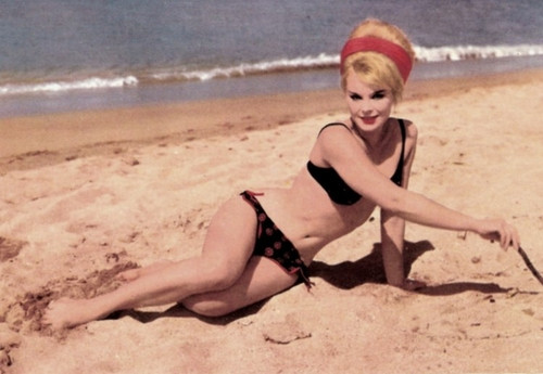 Elke Sommer - Laying on Beach in Black Bikini Photo Print (10 x 8) - Item # DAP17864