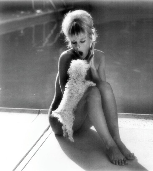 Elke Sommer - Sitting with Dog Photo Print (8 x 10) - Item # DAP18039 Elke Sommer - Sitting with Dog Photo Print (8 x 10) - Item # DAP18039