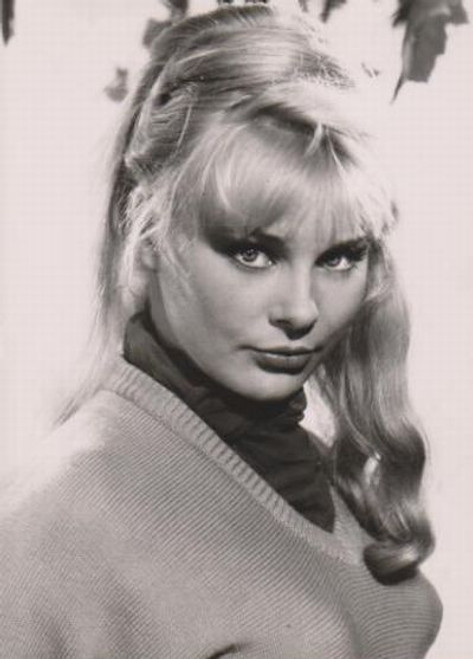 Elke Sommer - Wearing Sweater and Scarf Photo Print (8 x 10) - Item # DAP17970 Elke Sommer - Wearing Sweater and Scarf Photo Print (8 x 10) - Item # DAP17970