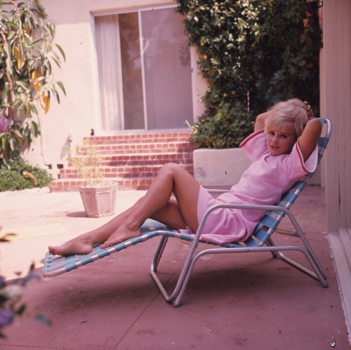 Elke Sommer- In pink Sitting back on Lounge Chair Photo Print (8 x 10) - Item # DAP18119