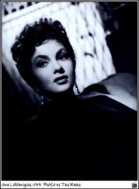 Gina Lollobrigida - 1954, Photo by Ted Reed Photo Print (8 x 10) - Item # DAP18433 Gina Lollobrigida - 1954, Photo by Ted Reed Photo Print (8 x 10) - Item # DAP18433