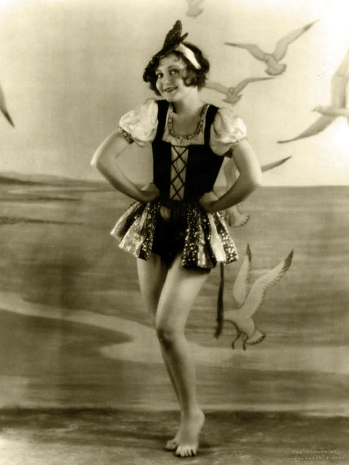 Nancy Carroll - Seagull Backdrop Photo Print (8 x 10) - Item # DAP19502
