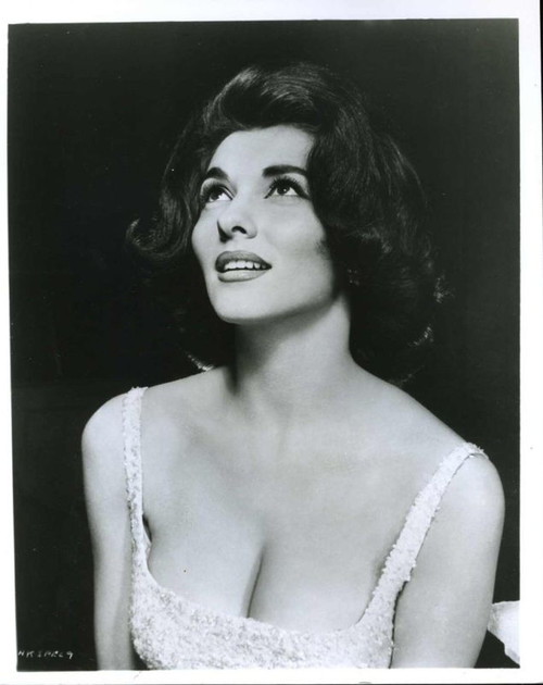 Nancy Kovack - Looking Up Photo Print (8 x 10) - Item # DAP19531