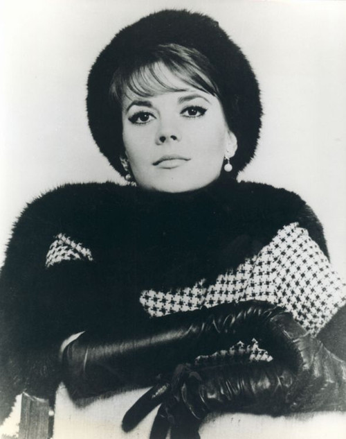 Natalie Wood - Black Gloves and Fur Scarf Photo Print (8 x 10) - Item # DAP19724