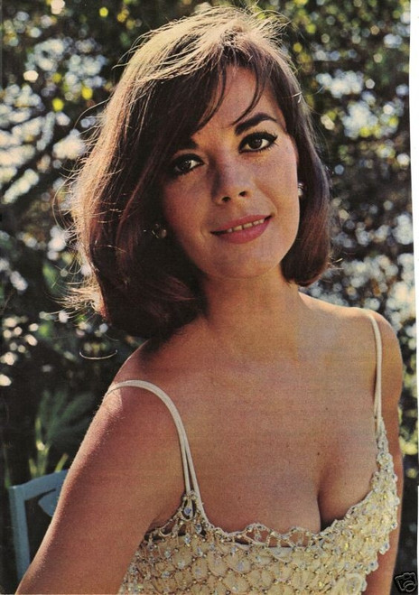 Natalie Wood - Net Dress Photo Print (8 x 10) - Item # DAP19706