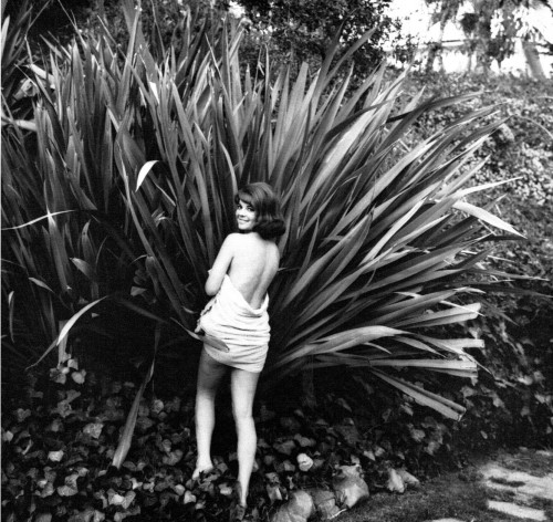 Natalie Wood - Plant Photo Print (8 x 10) - Item # DAP110140