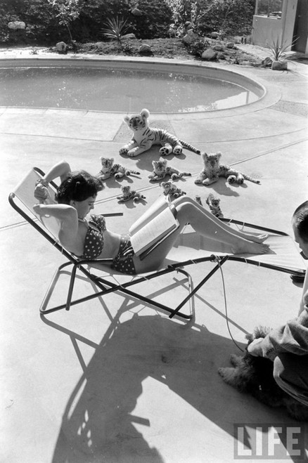 Natalie Wood - Reading Poolside with Stuffed Animals 2 Photo Print (8 x 10) - Item # DAP110002