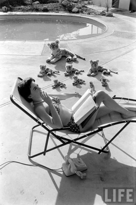 Natalie Wood - Reading Poolside with Stuffed Animals 3 Photo Print (8 x 10) - Item # DAP110003
