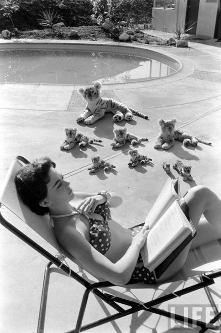 Natalie Wood - Reading Poolside with Stuffed Animals 4 Photo Print (8 x 10) - Item # DAP110004