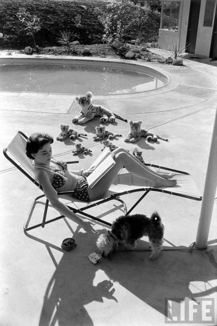 Natalie Wood - Reading Poolside with Stuffed Animals 5 Photo Print (8 x 10) - Item # DAP110007