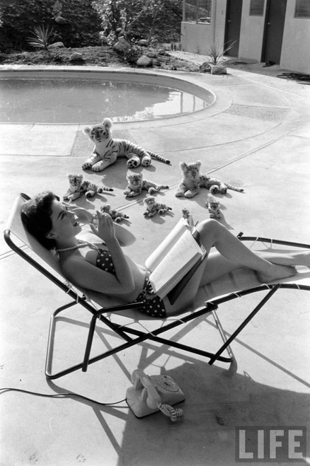 Natalie Wood - Reading Poolside with Stuffed Animals 6 Photo Print (8 x 10) - Item # DAP110008