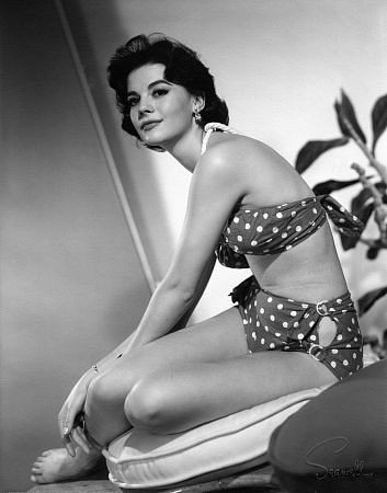 Natalie Wood - Sideways Sit in Bikini Photo Print (8 x 10) - Item # DAP110099