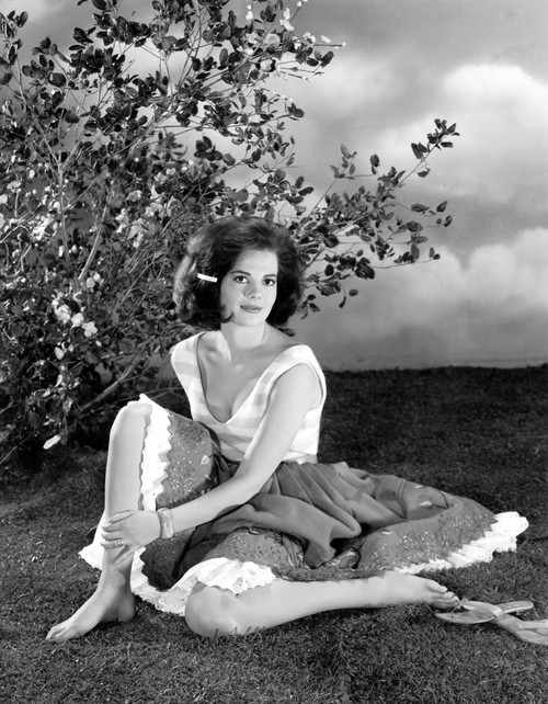 Natalie Wood - Sitting Barefoot in Grass Photo Print (8 x 10) - Item # DAP110074