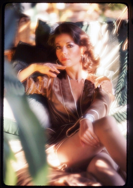 Natalie Wood - Through the Leaves Photo Print (8 x 10) - Item # DAP19866