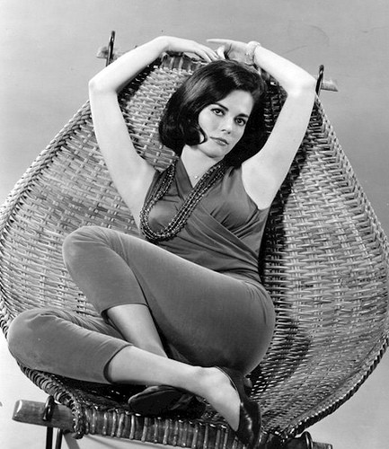 Natalie Wood - Wicker Chair Photo Print (8 x 10) - Item # DAP19916