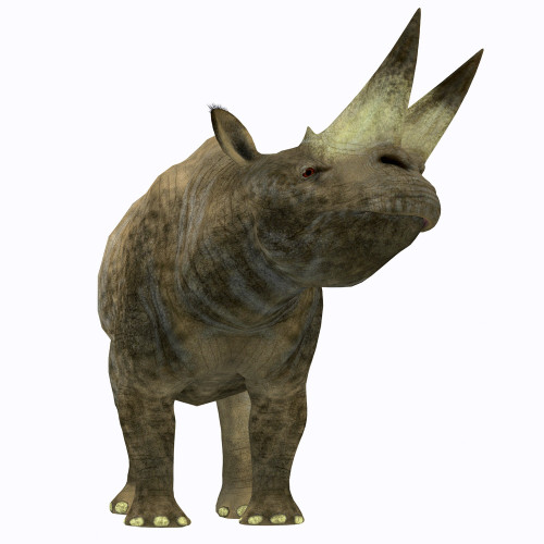 Arsinoitherium mammal, front view. Poster Print by Corey Ford/Stocktrek Images - Item # VARPSTCFR200945P Arsinoitherium mammal, front view. Poster Print by Corey Ford/Stocktrek Images - Item # VARPSTCFR200945P