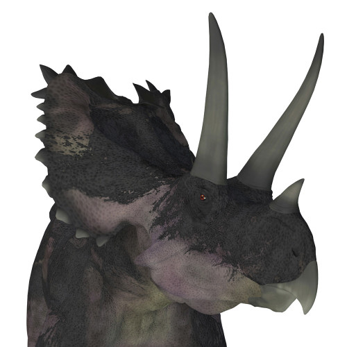 Agujaceratops dinosaur head. Poster Print by Corey Ford/Stocktrek Images - Item # VARPSTCFR601001P