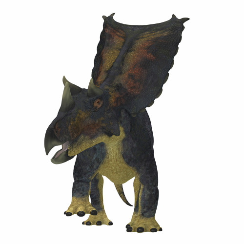 Chasmosaurus dinosaur, front view. Poster Print by Corey Ford/Stocktrek Images - Item # VARPSTCFR601014P Chasmosaurus dinosaur, front view. Poster Print by Corey Ford/Stocktrek Images - Item # VARPSTCFR601014P