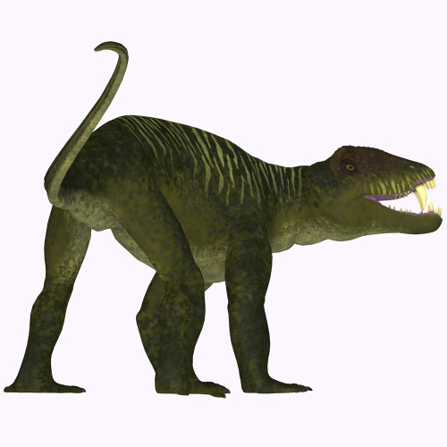 Doliosauriscus dinosaur on white background. Poster Print by Corey Ford/Stocktrek Images - Item # VARPSTCFR601020P