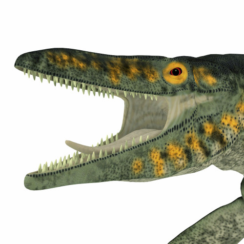 Tylosaurus marine reptile head portrait. Poster Print by Corey Ford/Stocktrek Images - Item # VARPSTCFR601049P