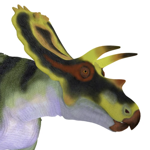Anchiceratops dinosaur head. Poster Print by Corey Ford/Stocktrek Images - Item # VARPSTCFR601091P