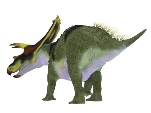 Anchiceratops dinosaur, rear view. Poster Print by Corey Ford/Stocktrek Images - Item # VARPSTCFR601094P Anchiceratops dinosaur, rear view. Poster Print by Corey Ford/Stocktrek Images - Item # VARPSTCFR601094P