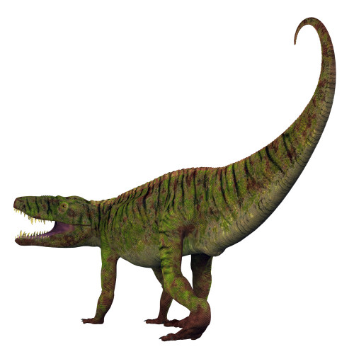 Batrachotomus dinosaur tail. Poster Print by Corey Ford/Stocktrek Images - Item # VARPSTCFR601106P Batrachotomus dinosaur tail. Poster Print by Corey Ford/Stocktrek Images - Item # VARPSTCFR601106P