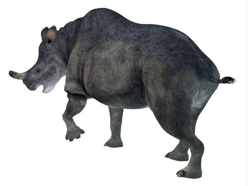 Brontotherium mammal, rear view. Poster Print by Corey Ford/Stocktrek Images - Item # VARPSTCFR601115P Brontotherium mammal, rear view. Poster Print by Corey Ford/Stocktrek Images - Item # VARPSTCFR601115P