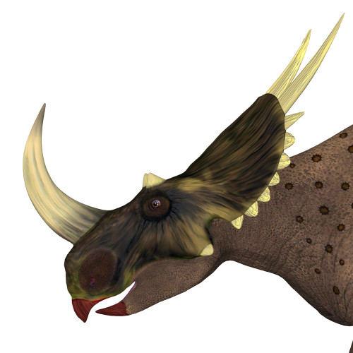 Rubeosaurus dinosaur head. Poster Print by Corey Ford/Stocktrek Images - Item # VARPSTCFR601116P