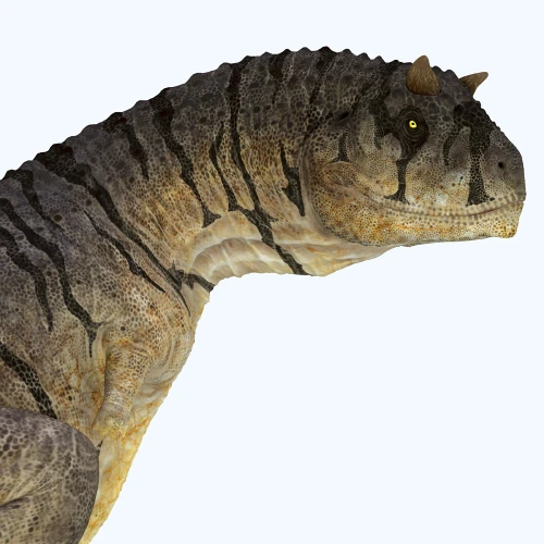Carnotaurus dinosaur head. Poster Print by Corey Ford/Stocktrek Images - Item # VARPSTCFR601124P
