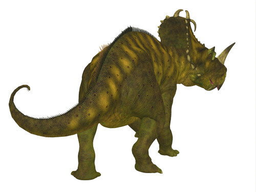 Centrosaurus dinosaur, rear view. Poster Print by Corey Ford/Stocktrek Images - Item # VARPSTCFR601129P